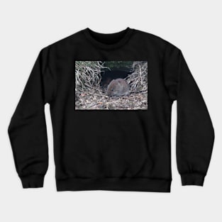 Bank vole Crewneck Sweatshirt